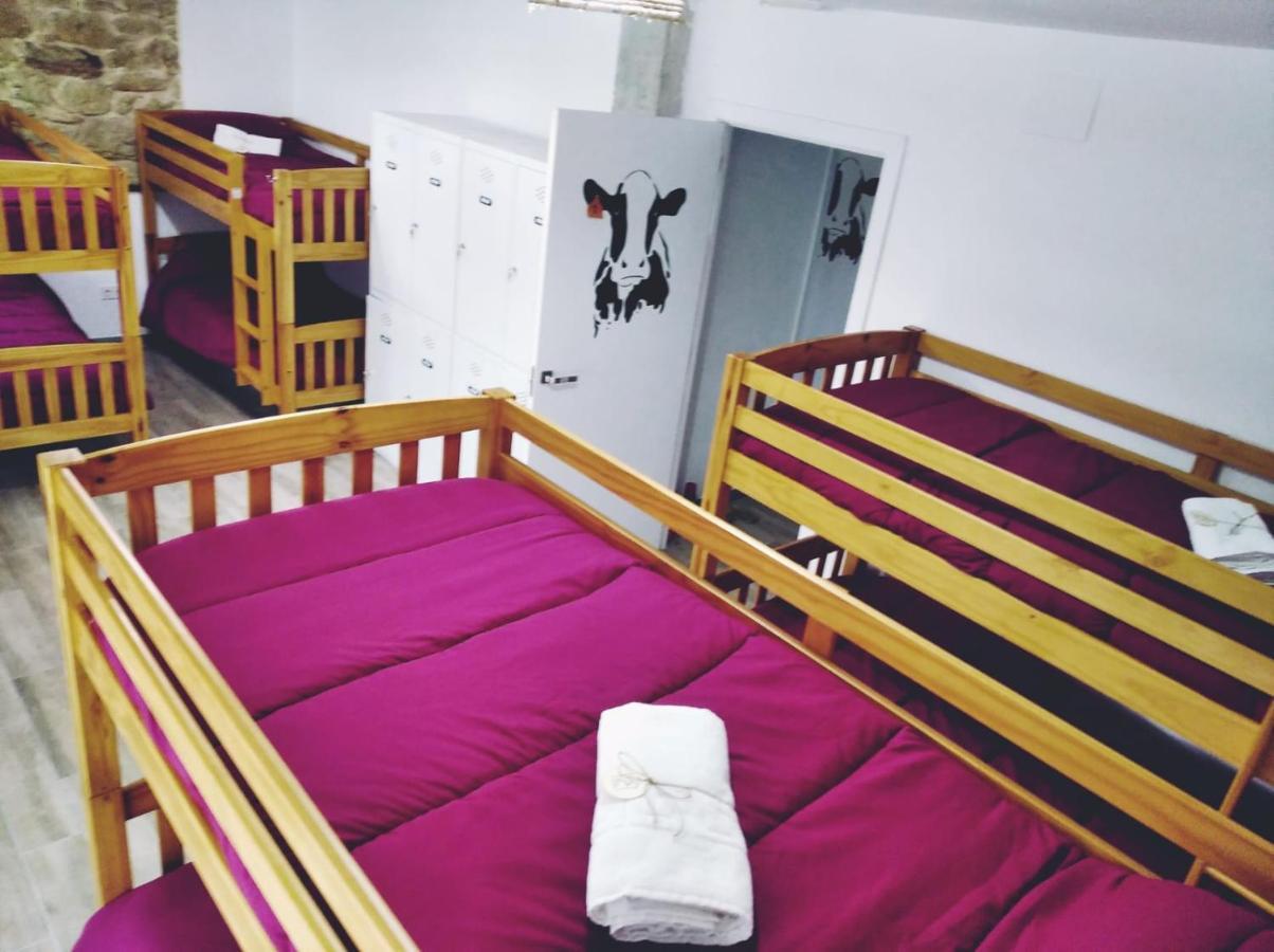 Albergue Casa Vacas *